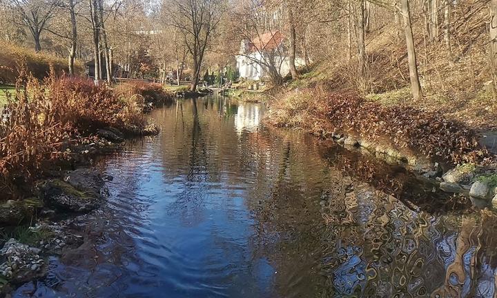 Zum alten Wasserschlössl